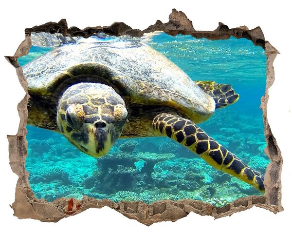 Díra 3D fototapeta nálepka Mořská želva nd-k-83762438