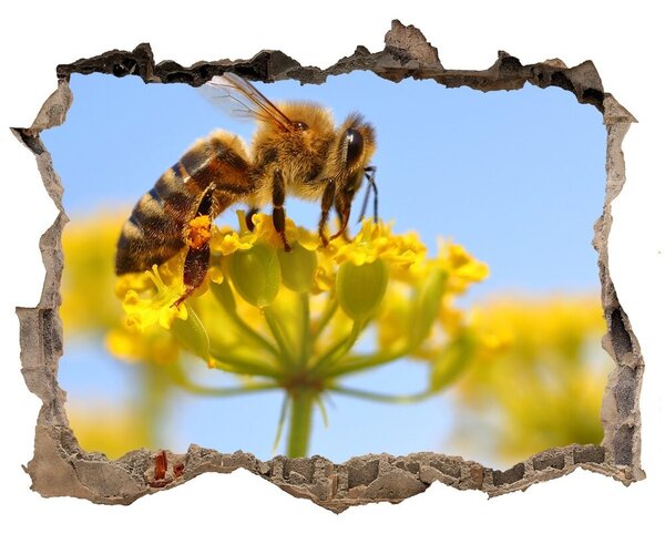 Samolepící díra Včela na květině nd-k-83831573