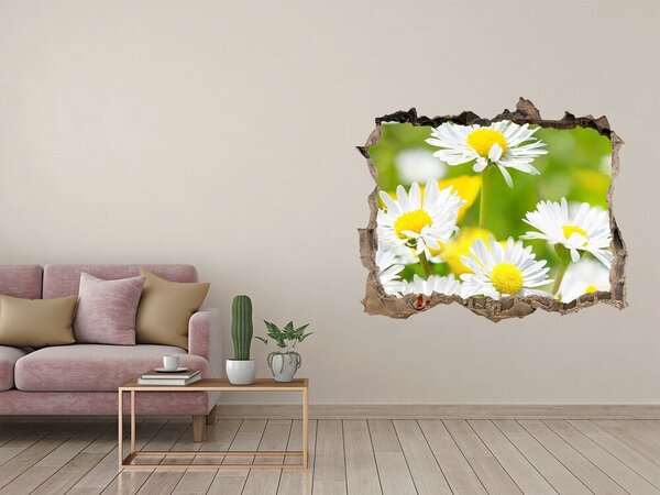 Samolepící díra nálepka Sedmikrásky nd-k-84309586