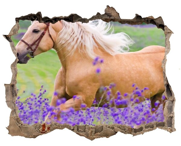 Díra 3D fototapeta Kůň na poli levandule nd-k-84450910