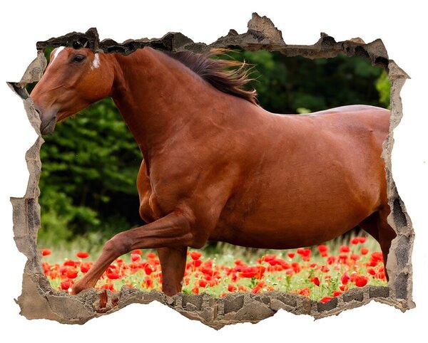 Díra 3D fototapeta nálepka Kůň na poli máků nd-k-85278470