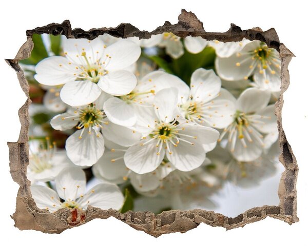 Samolepící díra nálepka Květy višně nd-k-85335086