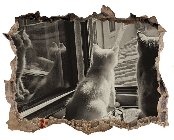 Díra 3D fototapeta nálepka Kočky u okna nd-k-86646592