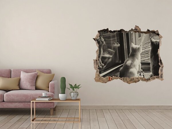 Díra 3D fototapeta nálepka Kočky u okna nd-k-86646592