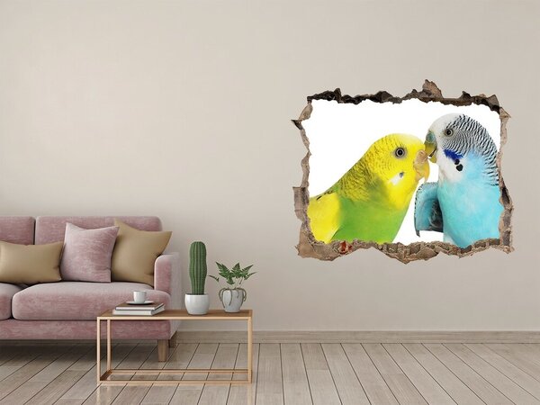 Díra 3D fototapeta nálepka Andulky nd-k-87232462