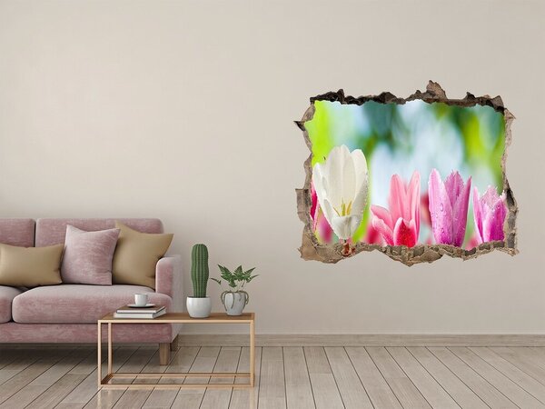 Fototapeta díra na zeď Tulipány nd-k-88763928