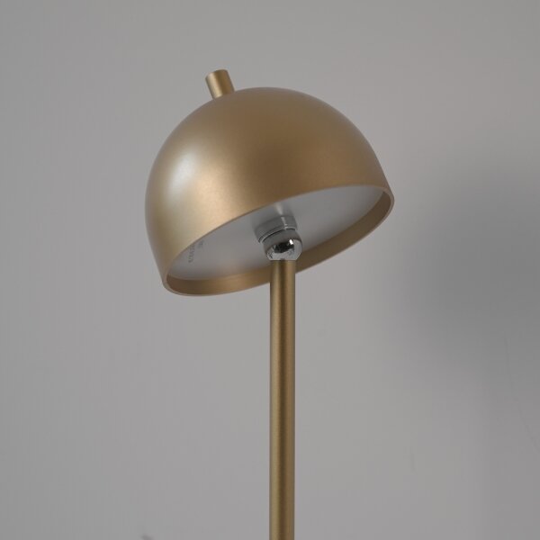 Schöner Wohnen 19245-12 - LED Stm. stojací lampa BELLIS LED/2,5W/5V IP54 zlatá
