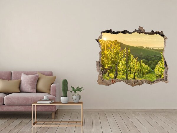 Nálepka fototapeta 3D výhled beton Vinice v Porto nd-k-90317015