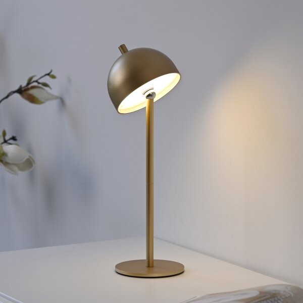 Schöner Wohnen 19244-12 - LED Stm. stolní lampa BELLIS LED/2,5W/5V IP54 zlatá