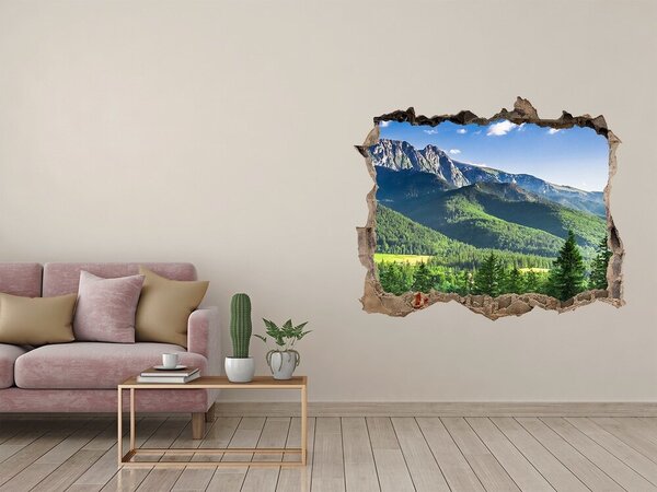 Nálepka fototapeta na zeď Skokanský můstek Tatry nd-k-91165762
