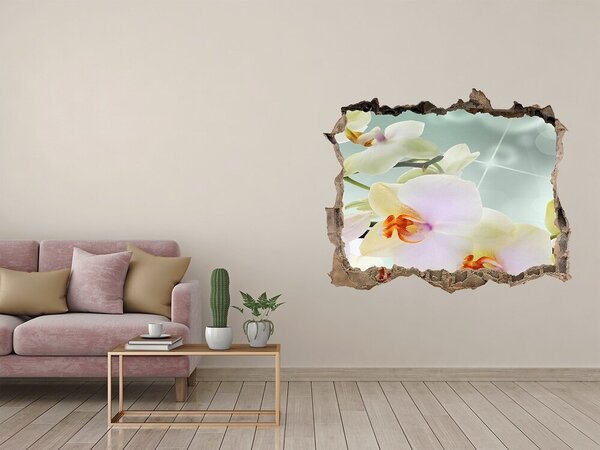 Samolepící díra nálepka Bílá orchidej nd-k-91133337