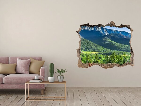 Nálepka fototapeta 3D Skokanský můstek Tatry nd-k-91165777