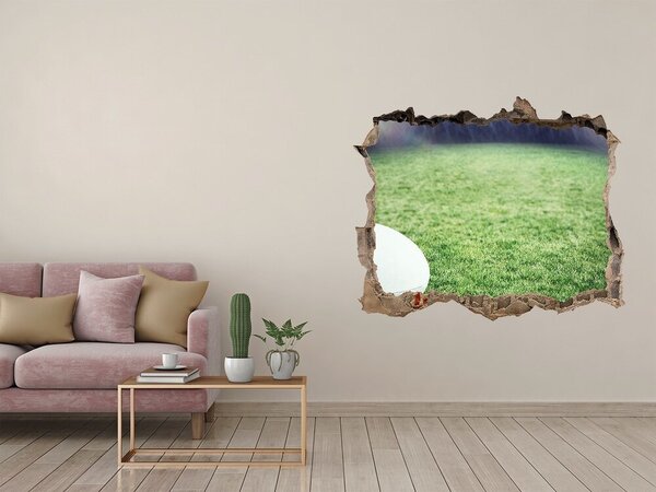 Foto fotografie díra na zeď Míč ragby nd-k-91666550