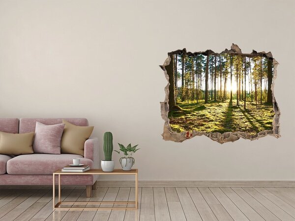 Nálepka fototapeta 3D na zeď Sosnový les nd-k-92027264