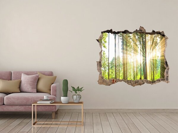 Díra 3D foto tapeta nálepka Les slunce nd-k-92474685