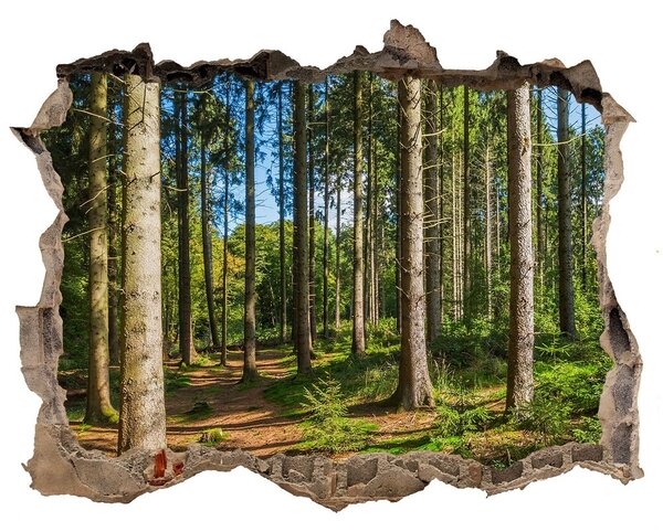 Fotoobraz díra na stěnu Panorama les nd-k-93946389