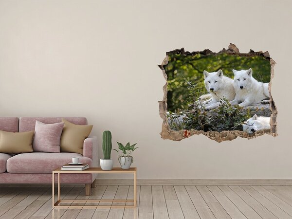 Fototapeta díra na zeď Bílí vlci skála nd-k-93949837