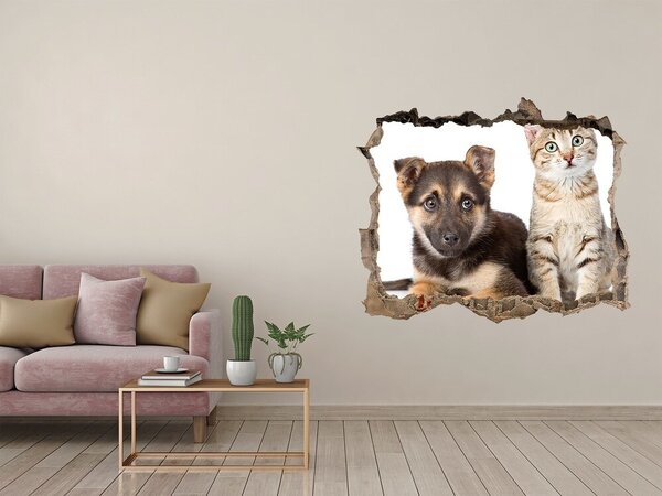 Fototapeta díra na zeď 3D Pes a kočka nd-k-94452483