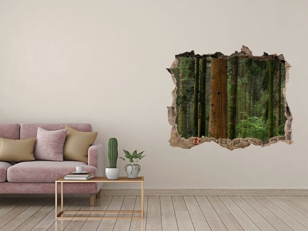 Fototapeta díra na zeď Mlha v lese nd-k-95353064