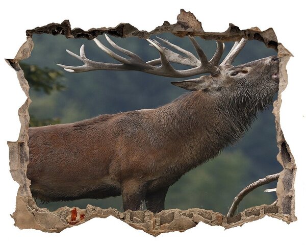 Nálepka fototapeta 3D výhled Jelen na kopci nd-k-9653240