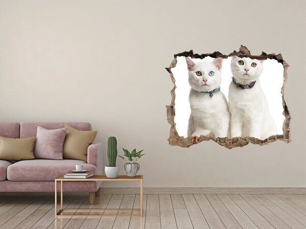 Nálepka fototapeta 3D na zeď Bílé kočky nd-k-97350767