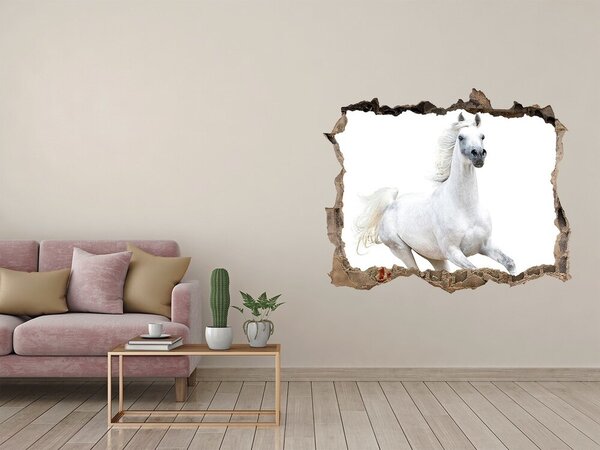 Fototapeta díra na zeď Bílý arabský kůň nd-k-99028092
