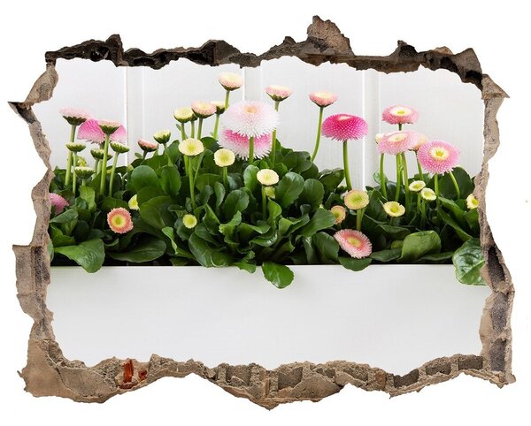 Fototapeta díra na zeď 3D Růžové sedmikrásky nd-k-99649628