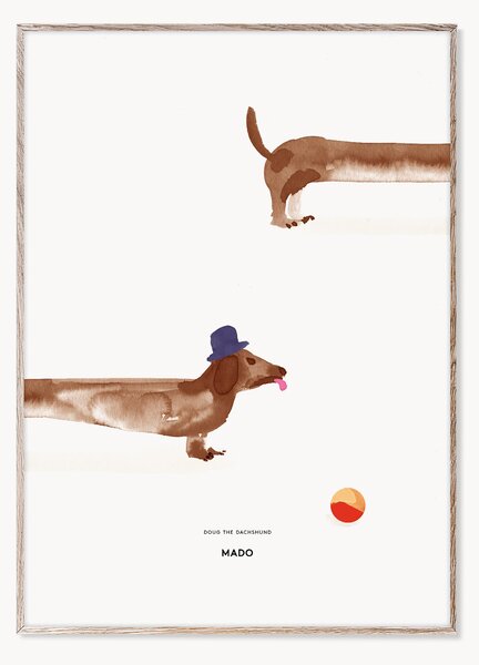 Plakát Doug the Dachshund