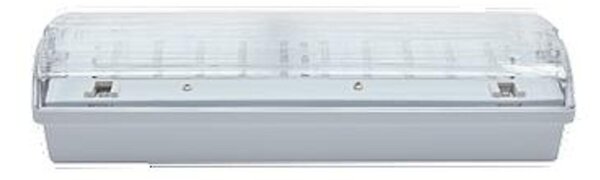 NBB CARLA-2 16 LED 230-240V 3h TP IP65 910107000