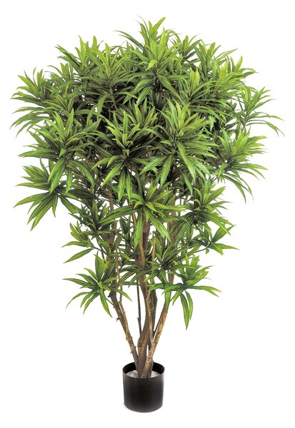 Umělá palma Dracena reflexa Jamaica deluxe, 145cm