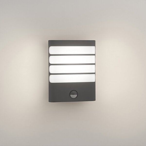 Philips 17274/93/16-LED Venkovní svítidlo se senzorem RACCOON LED/3W/230V IP44