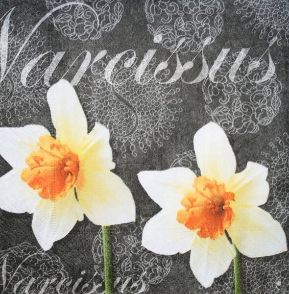 Ubrousky Narcis 3400076