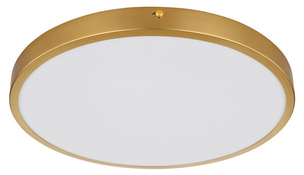 STROPNÍ LED SVÍTIDLO, 35/35/3 cm Globo - Online Only svítidla, Online Only