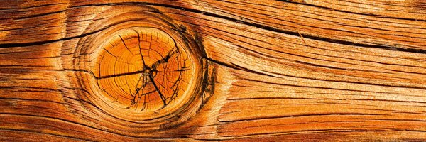 DIMEX | Fototapeta do kuchyně Suk ve dřevě KI-180-061 | 180 x 60 cm | béžová, hnědá