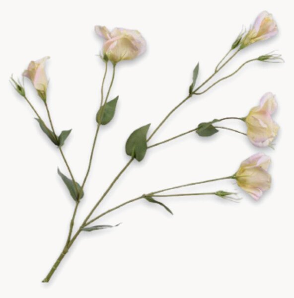 Sada umělých květin Lisianthus, 2 díly