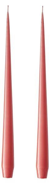 Svíčka Taper 32 cm – 26 Coral Reef – set 2 ks