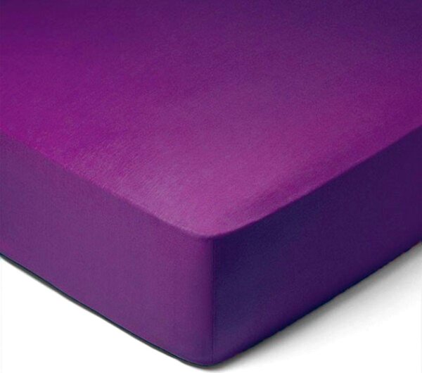 Forbyt, Prostěradlo, Jersey, tmavě fialová 200 x 220 cm