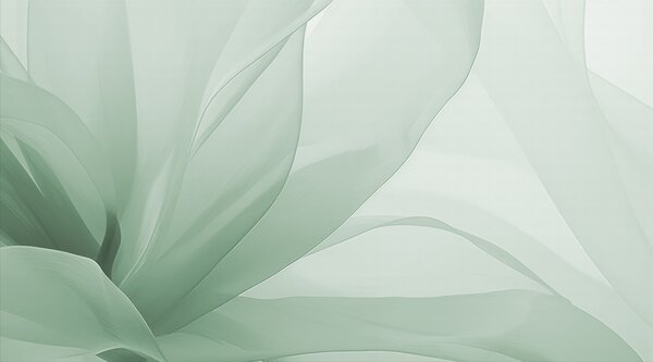 Fototapety Abstraktní květina, Fototapety abstraktní, w04435v1 : uwalls.cz