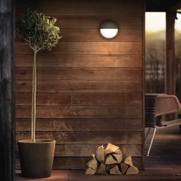 Philips 16455/93/16 - LED venkovní nástěnné svítidlo CAPRICORN LED/6W IP44