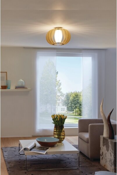 Eglo 95597 - Stropní svítidlo STELLATO 1 1xE27/60W/230V