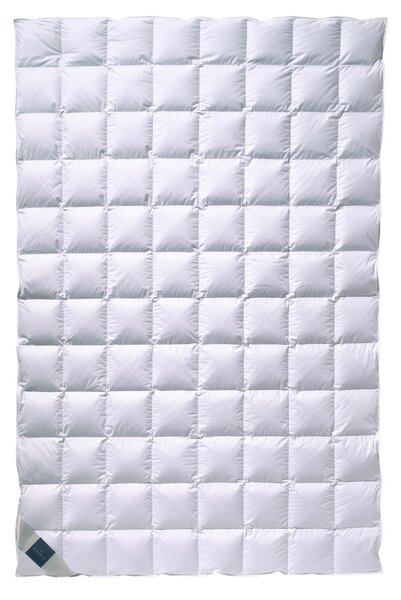 LETNÍ PŘIKRÝVKA, 135/200 cm, prachové peří Billerbeck - Přikrývky