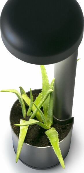 FARO 71206 - LED Venkovní svítidlo GROW LED/9W/230V IP65