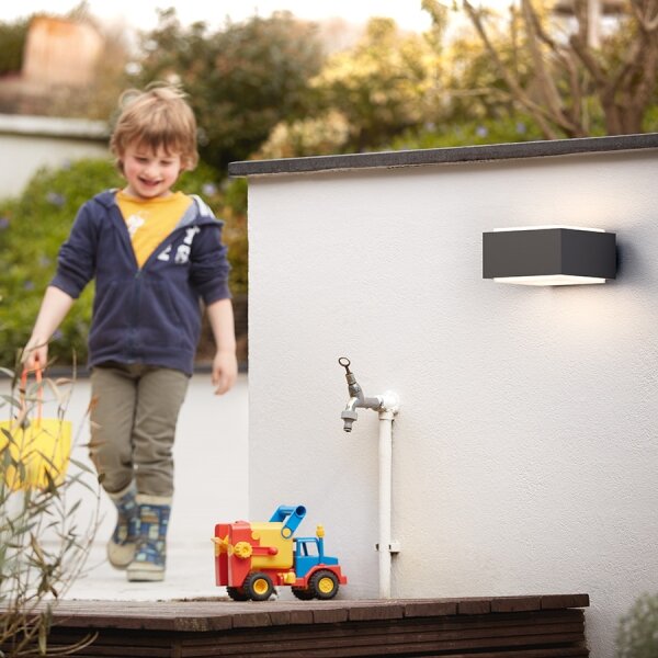Philips 17337/93/PN - Venkovní nástěnné svítidlo MYGARDEN HEDGEHOG 1xE27/42W/230V IP44