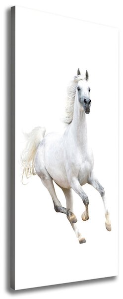 Foto obraz na plátně Bílý kůň cval pl-oc-50x125-f-99028092
