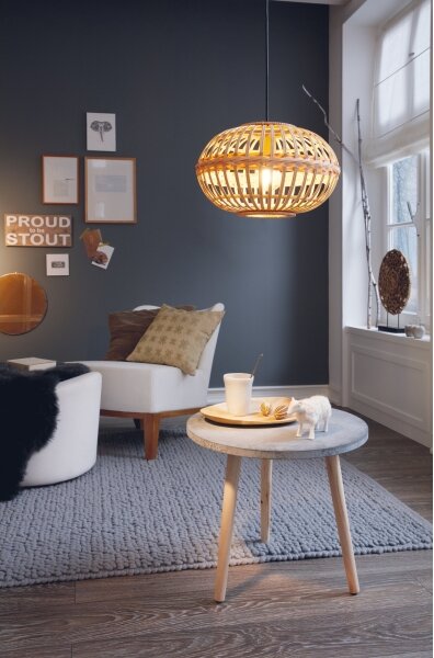 Eglo 49771 - Závěsné svítidlo AMSFIELD 1xE27/60W