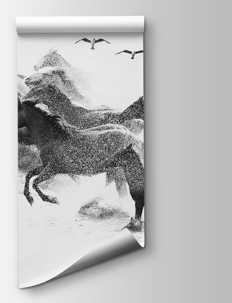 Fototapeta Skupina koní běžících přes vodu, Fototapety s koňmi, Populární fototapety, u14413 - Tapeko.co.cz