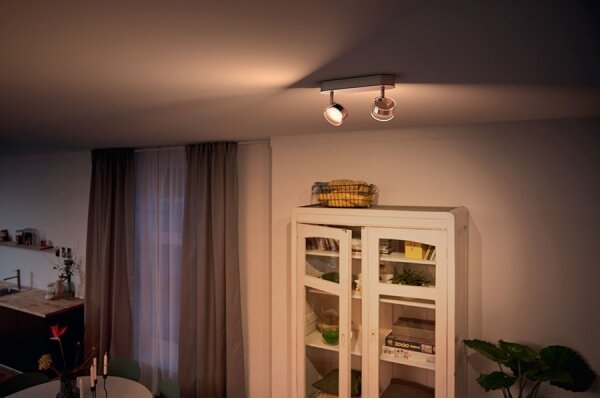 Philips 50562/11/P0-LED Stmívatelné svítidlo MYLIVING WORCHESTER 2xLED/4,5W/230V