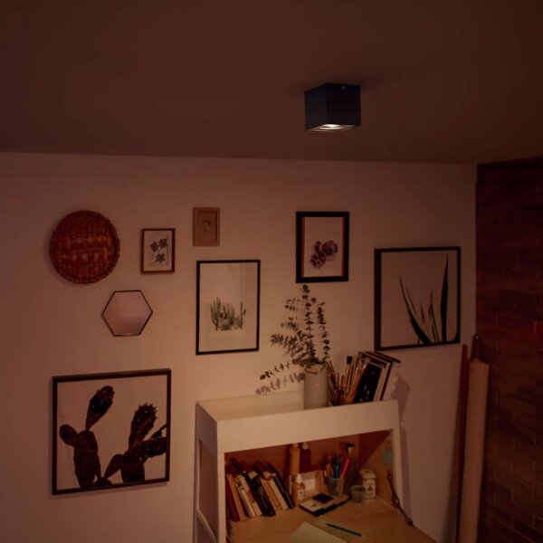 Philips 50491/30/P0 - LED Stmívatelné svítidlo MYLIVING BOX LED/4,5W/230V