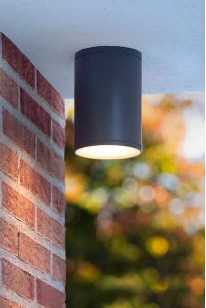 Lucide 27870/01/30 - Koupelnové stropní svítidlo TUBIX 1xE27/24W/230V IP54