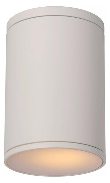 Lucide 27870/01/31 - Koupelnové stropní svítidlo TUBIX 1xE27/24W/230V IP54